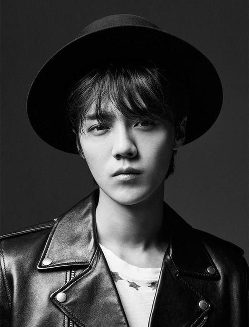 獐头鼠目明星,揭秘娱乐圈中的独特魅力